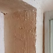 ���������, 51 ���, ����