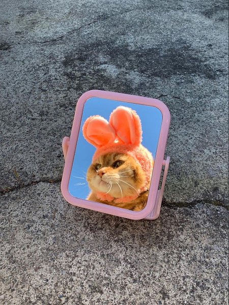 ������ ��� ��� �����) - 3