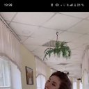 ���� ������ ������, �����������, 38 ��� - ��������� 14 ������ 2024