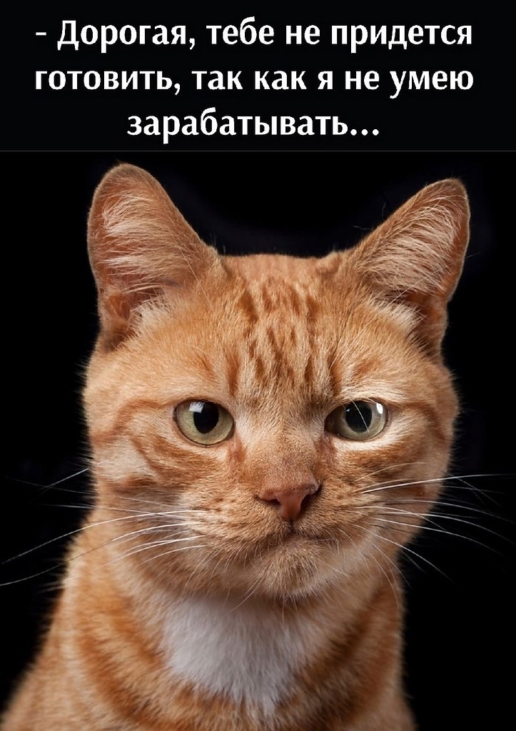       - 21  2025  16:24
