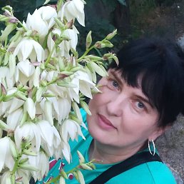 , 54, 