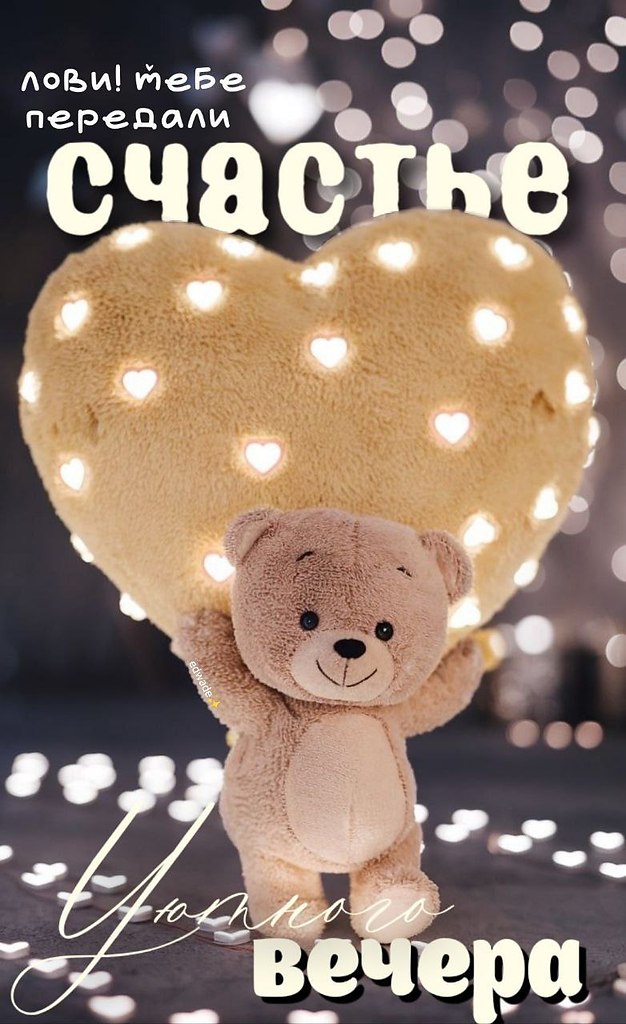   ,    . - 23  2025  21:56 - 4