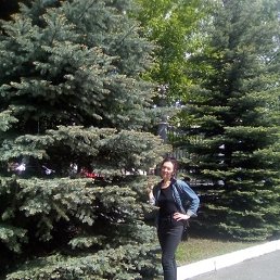 �����, �����