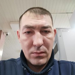 �������, ����, 36 ���