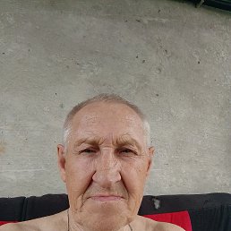 , 61 , 
