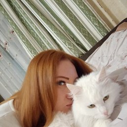 , 30, 
