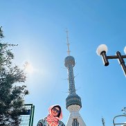 ����, , ������