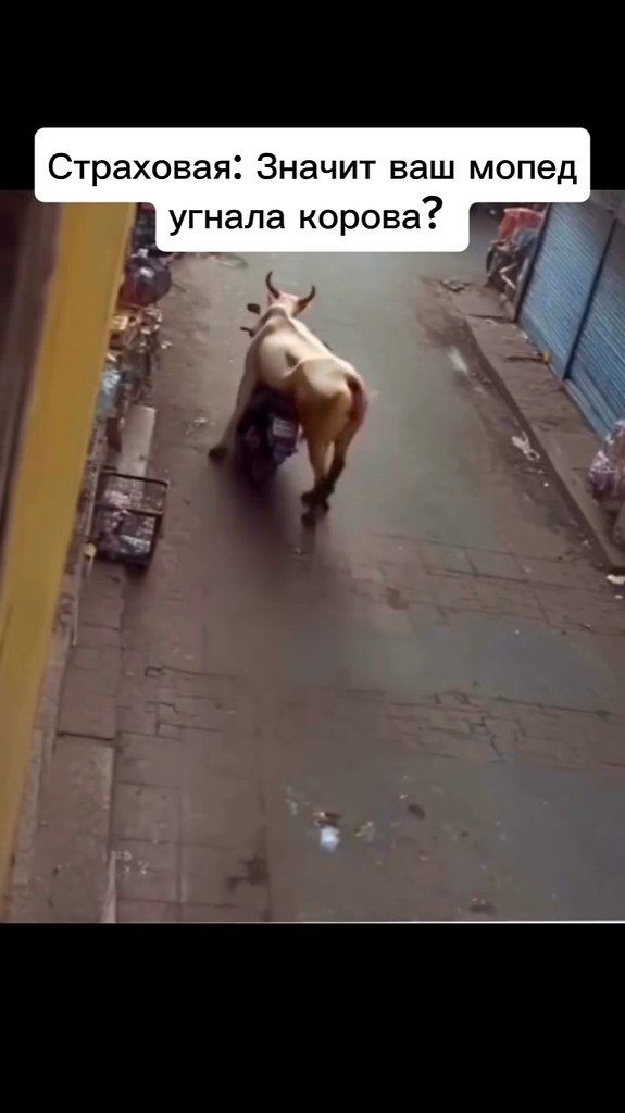        ,     !)