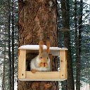 ���� �������, ������ - ��������� 9 ����� 2026 � ������ �������� ����� .�