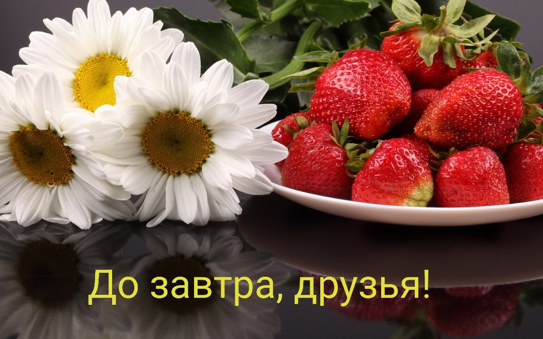   ,    . - 11  2025  12:45