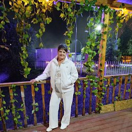 , 65, 