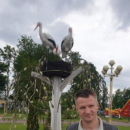 ���� ������, ����������-���������, 51 ��� - ��������� 27 ������� 2026