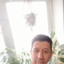 , 37, 