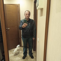 , 56 , 