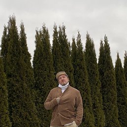 �����, ���������, 54 ����