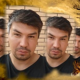 , 41, 