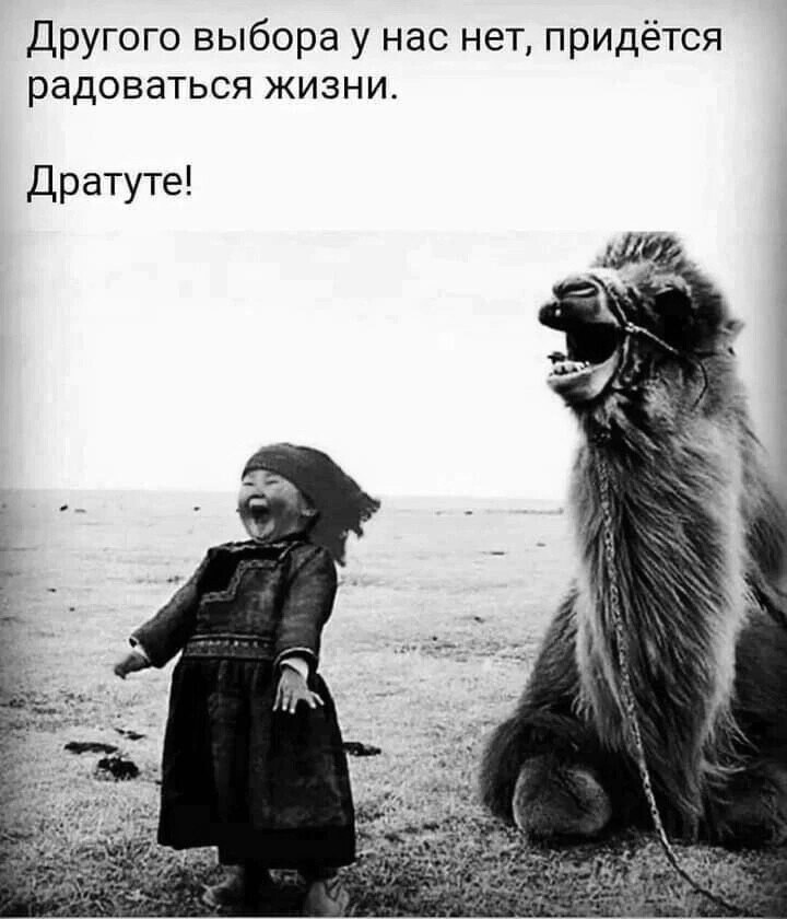 ***Victoria Viktorovna*** - 28  2023  06:09