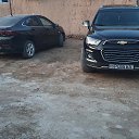 ���� Bekzod, ������, 20 ��� - ��������� 17 ������ 2026