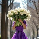���� ����, �����������, 73 ���� - ��������� 27 ������ 2026 � ������ ������ ��������