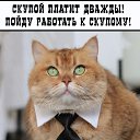 ���� ���������, �������, 42 ���� - ��������� 7 ������� 2025 � ������ ������ ��������