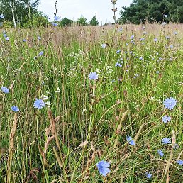 ����, ������, 60 ���