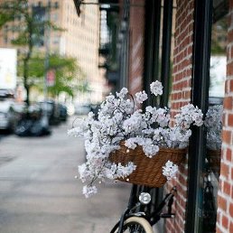 ���� ����, �����-��������� - ��������� 5 ������� 2025