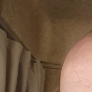 ������, 45 ���, ������