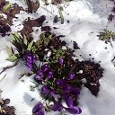 ���� ������, �����, 64 ���� - ��������� 29 ������� 2023 � ������ ������ ��������