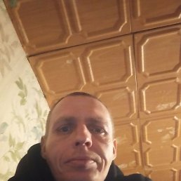 �������, 41 ���, ������