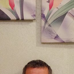 , 52, 