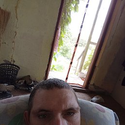 , 42, 