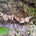 ���� �����, ����, 62 ���� - ��������� 27 ������� 2023 � ������ ���� ����������