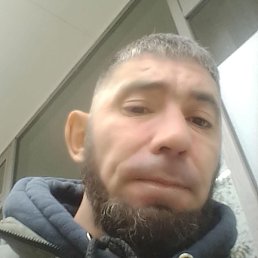 , , 29 