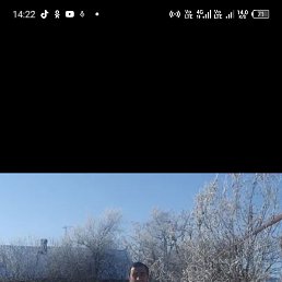 ���� �����, ����, 51 ��� - ��������� 14 ������ 2024