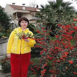, 49, 