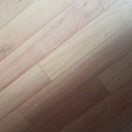 �������, ����������, 46 ���