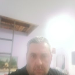 , 46, 
