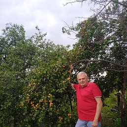 , 61, 