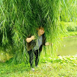 ����, �����-���������, 39 ���