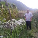  Akif, , 69  -  22  2025    