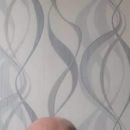 ��������, �����, 62 ����