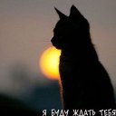 ���� �������, ������, 51 ��� - ��������� 20 ������ 2024 � ������ ���� ����������