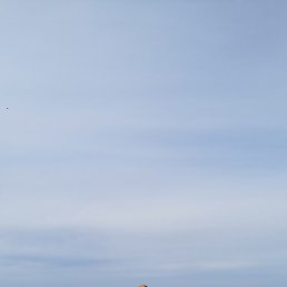 ����, �����������, 50 ���