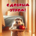 ���� Name, ������, 42 ���� - ��������� 18 �������� 2026
