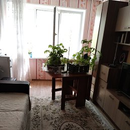 ���� �������, ������, 66 ��� - ��������� 8 ��� 2026