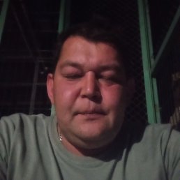 ����, 44 ����, ����