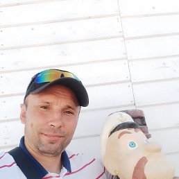 ���������, 44 ����, �����