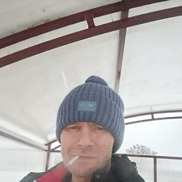 �������, ����, 43 ����