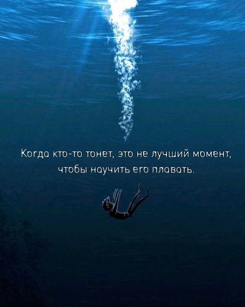���� ����� � ������ ������� �������� - 11 ���� 2026 � 13:16 - 4