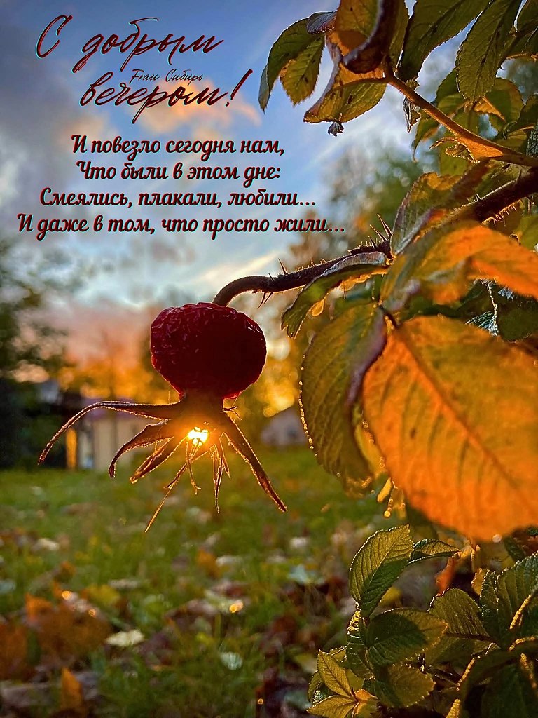   - 16  2025  16:29